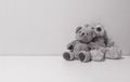 Closeup couple of bear doll on white desk and wall textured background in black and white tone with copy space