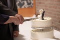 Closeup of couple cutting wedding cake with groom and bride Royalty Free Stock Photo