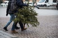 couple walking in the street with dead christmas tree for recycling Royalty Free Stock Photo