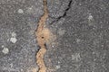 Closeup of cracked asphalt road surface texture Royalty Free Stock Photo