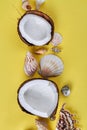 Closeup cracked coconut parts and seashells.