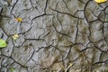 Cracked dry mud Royalty Free Stock Photo