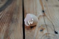 Closeup of a cracked egg with a set of dice on a wooden table Royalty Free Stock Photo