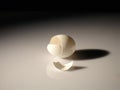 Closeup of a cracked empty egg shell on the table under the lights Royalty Free Stock Photo