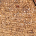 Closeup of a cracked stone and red brick. A textured background of chipwood, cracking earth, sedimentary mineral or tile