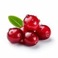 Photorealistic Cranberry Composition On White Background