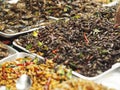 Crispy Cricket Fried insects Entomophagy delicious