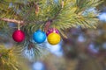 Closeup Cristmass toys on a pine tree branch