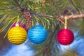 Closeup Cristmass toys on a pine tree branch Royalty Free Stock Photo