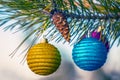 Closeup Cristmass toys on a pine tree branch Royalty Free Stock Photo