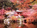 Daigo-ji temple with colorful maple trees in autumn, Kyoto, Japan Royalty Free Stock Photo