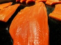 Closeup and crop of salmon meat slice on black tray Royalty Free Stock Photo