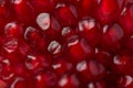 Closeup cropped view macro photo of red juicy fresh pomegranate seeds texture