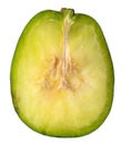 Closeup cross section of ambarella or june plum