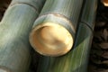 Closeup of cross section of moso bamboo node or septa cross section Royalty Free Stock Photo