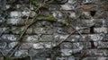 A closeup of a crumbling brick wall with moss and vines growing in between the cracks. The rough and weathered surface