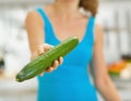 Closeup on cucumber in hand of woman Royalty Free Stock Photo