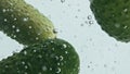 Closeup cucumbers falling liquid in light background. Garden vegetables floating Royalty Free Stock Photo