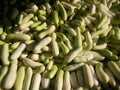 Closeup of cucumbers Royalty Free Stock Photo