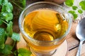 Closeup of a cup of melissa tea with fresh melissa leaves Royalty Free Stock Photo