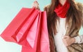 Closeup of customer bags shopping. Winter fashion.