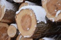 Closeup on the cut ends of a Snow covered pile of logs Royalty Free Stock Photo