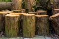 Closeup of cut tree trunks, timbered wood, accumulation of fire wood Royalty Free Stock Photo