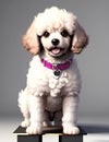 Closeup Cute baby dog isolated.young puppy