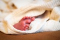 Closeup cute beautiful newborn baby boy little pink feet, one week old in white knitted blanket. Concept happy son Royalty Free Stock Photo