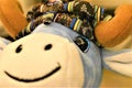 Closeup of cute blue stuffed toy cow