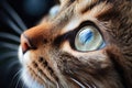 Closeup of a cute pink cat's eye and face. ai generated Royalty Free Stock Photo