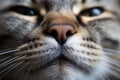 Closeup of a cute pink cat's nose and face. ai generated Royalty Free Stock Photo