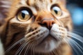 Closeup of a cute pink cat's nose and face. ai generated Royalty Free Stock Photo