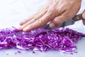 Closeup cutting red cabbage Royalty Free Stock Photo