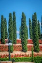 Closeup of cypresses in famous Bahai terraces or Hanging Gardens of Haifa, Israel