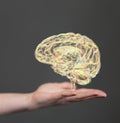 Closeup of a 3D rendered human brain hologram on a man's hand