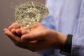 Closeup of a 3D rendered human brain hologram on a man's hand