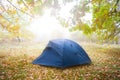 Dark blue touristic tent stay on forest glade in soft light of sun Royalty Free Stock Photo