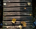 Closeup of dead leaves on wooden bridge conveys autumnal feeling. 4 points dead leaves of Norway Maple or dry Acer Platanoides.