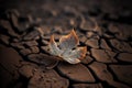 Closeup of a dead tree leaf on a dried ground, climate change concept. Generative AI illustration