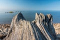 Closeup of a dead tree stump on the deserted beach Royalty Free Stock Photo