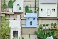 Closeup decoration on old wood wall of house by cactus and wooden box in house shape Royalty Free Stock Photo