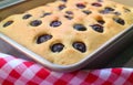 Delectable Fresh Baked Homemade Blueberry Cake in Baking Pan