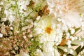 Closeup delicate blossoming flower bouquet. Royalty Free Stock Photo