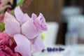 Closeup delicate bud of fresh pink rose with unfolded petals. Event decoration with fresh flowers