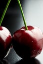 Closeup of delicious cherry pair Royalty Free Stock Photo