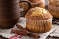 Closeup of a Delicious Cinnamon Muffin Royalty Free Stock Photo