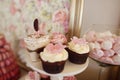 Closeup of delicious cupcakes on stand Royalty Free Stock Photo