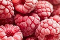 Closeup Of Delicious Frozen Red Raspberries
