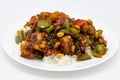 Jumbo Kung Pao Shrimp with White Rice on a Plate Royalty Free Stock Photo
